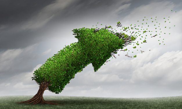 H-1B Visa Trends: Is This the New Normal?