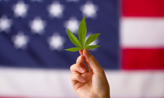 When State Marijuana Acceptance and Immigration Law Collide