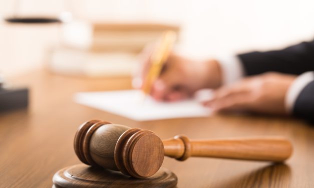 Why I Do Federal Court Immigration Litigation: A Short Elegy