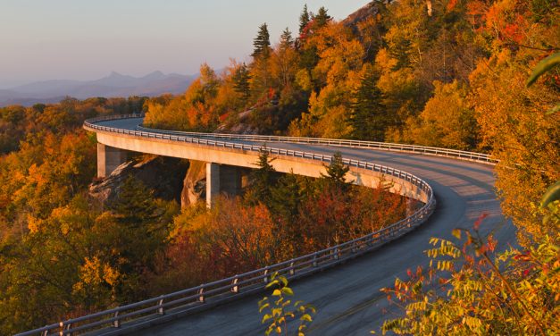 One Road to Immigration Law