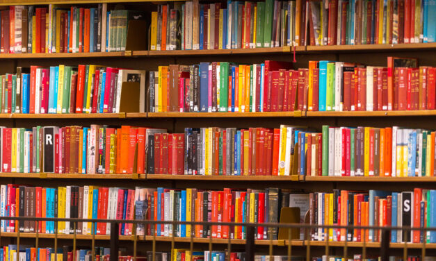 A Peek Inside the Spring 2023 Edition of the AILA Law Journal